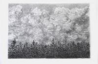 Moor, 42 x 29,7 cm, Bleistift auf Papier, 2010 - Thorsten Hallscheidt