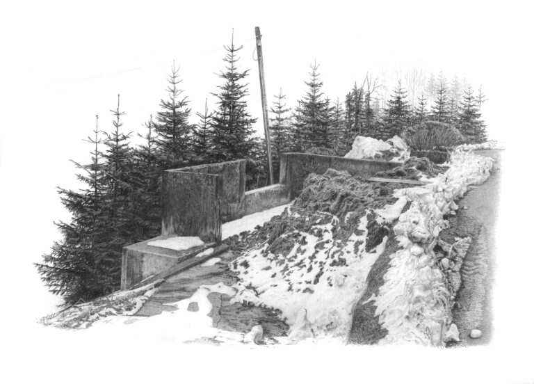 Misthaufen im Schnee